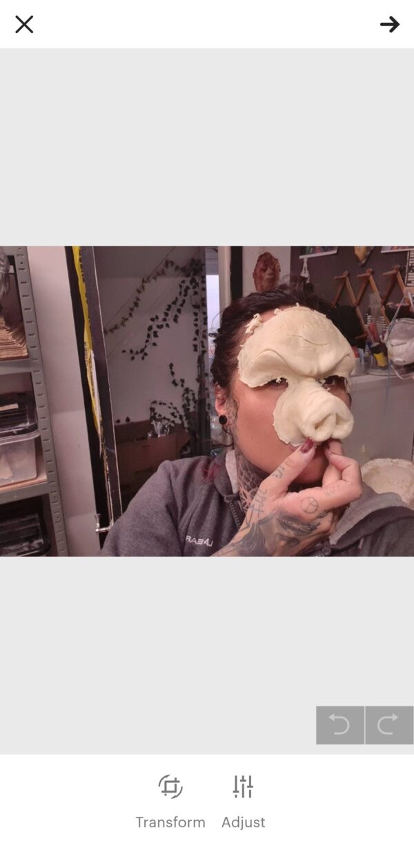 Pig face - nose and forehead
