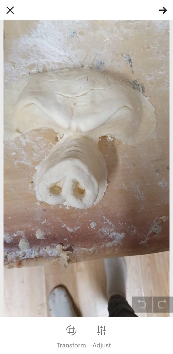 Pig face - nose and forehead