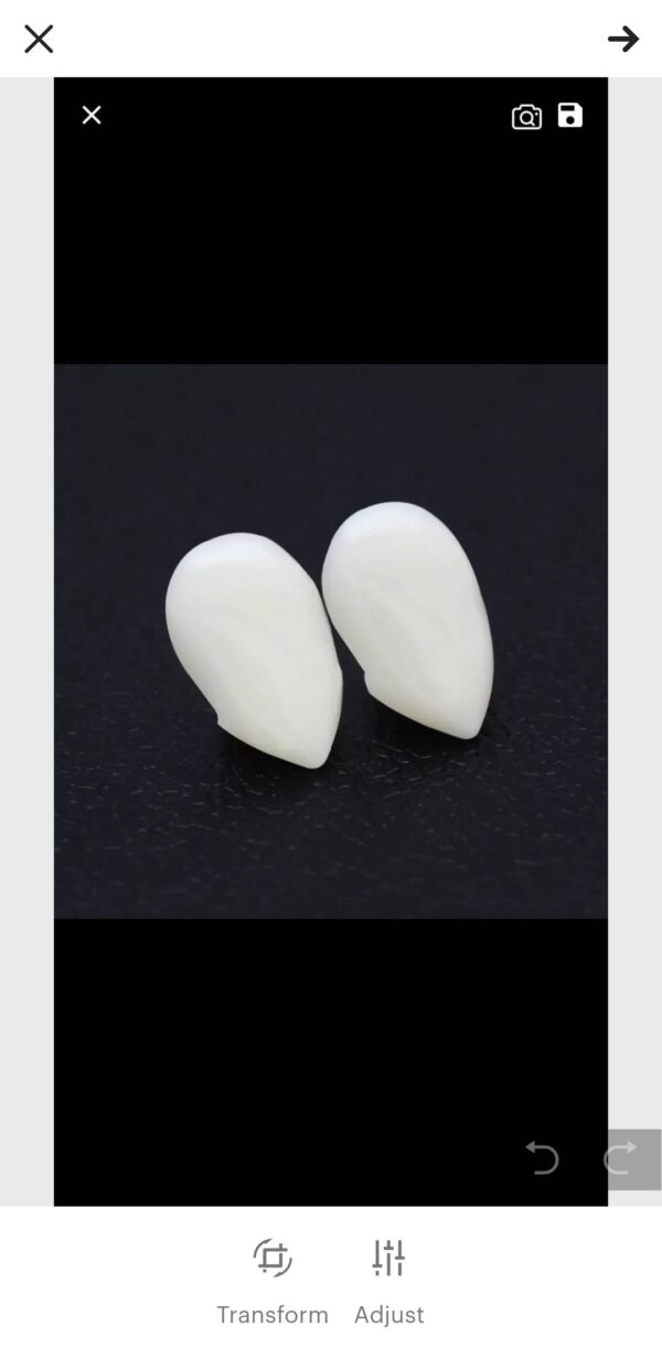 Vampire fake teeth