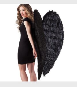 Feather Angel Wings