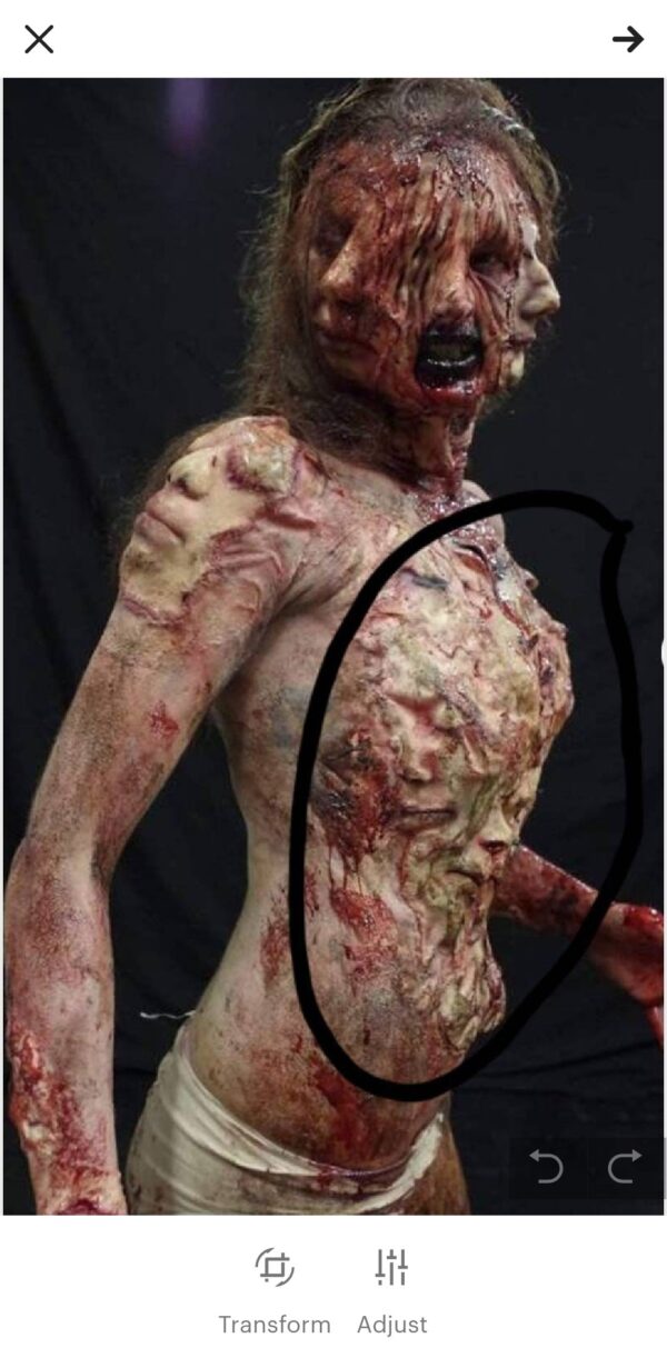 Gore Body of Souls Chest Prosthetic