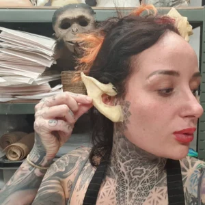 Elf Pixie Demon Pointy Ears