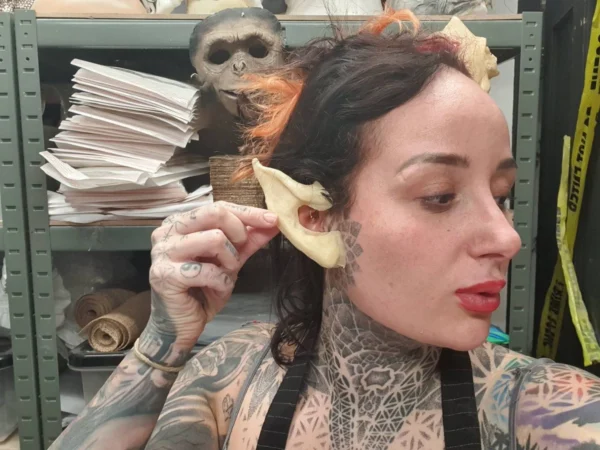 Elf Pixie Demon Pointy Ears
