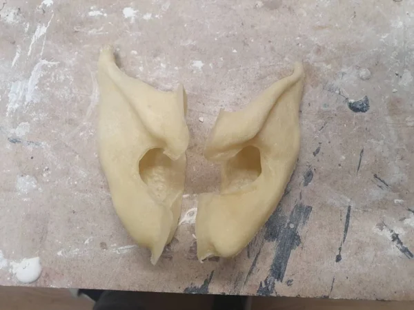 ear prosthetics