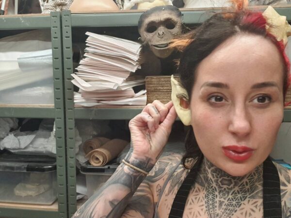 ear prosthetics