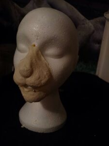 Rabbit lion Animal nose