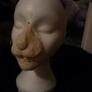 Rabbit lion Animal nose