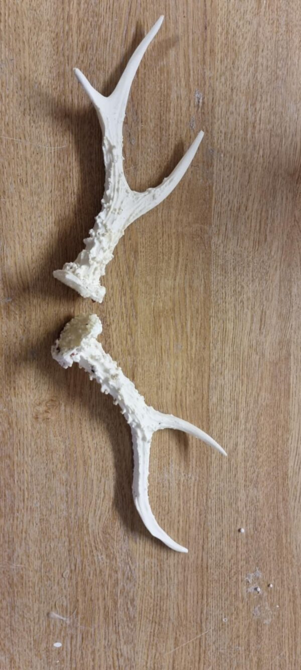 fake reindeer antlers