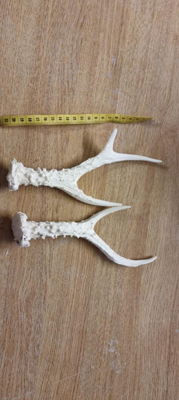 fake reindeer antlers