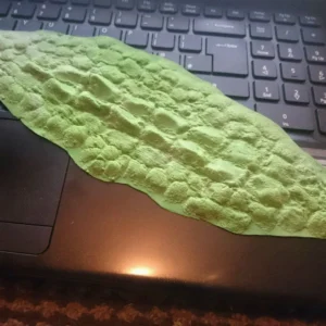 Reptile skin texture