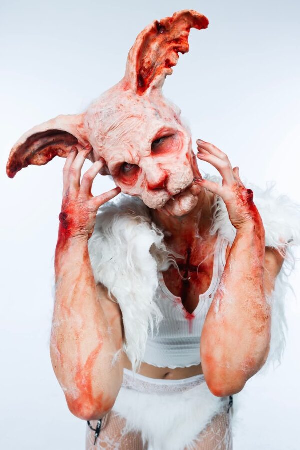rabbit prosthetic and ears