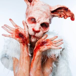 rabbit prosthetic and ears