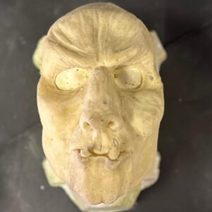 beast face foam latex
