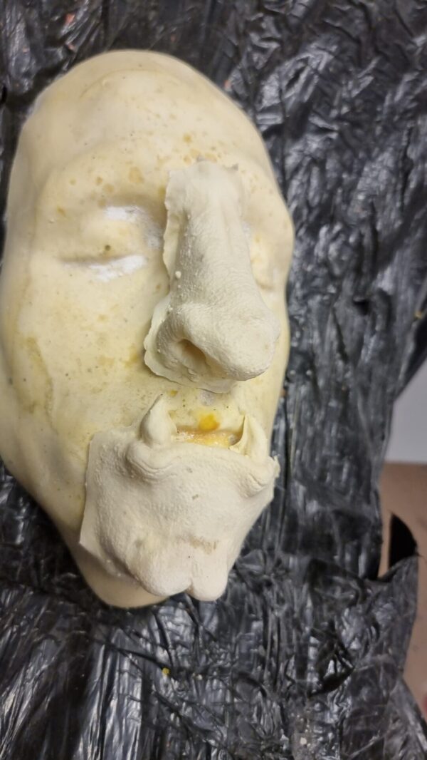 Wild beast nose chin - Image 3