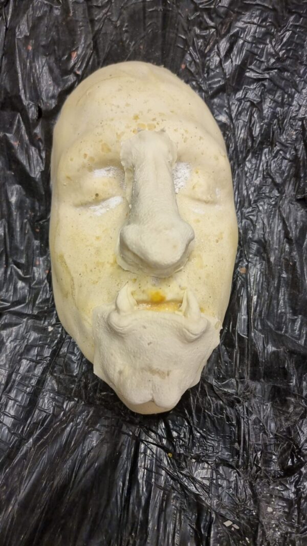 Wild beast nose chin - Image 4