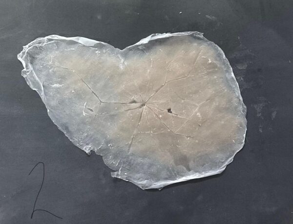 Cracked silicone pieces - Image 7