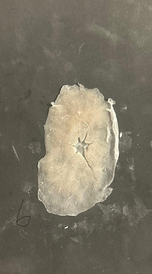 Cracked silicone pieces - Image 5