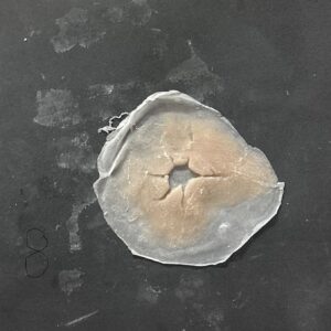 Cracked silicone pieces